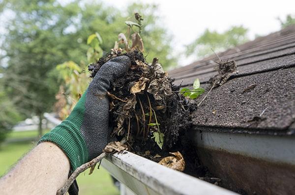 proper gutter cleaning can help prevent water damage to your home